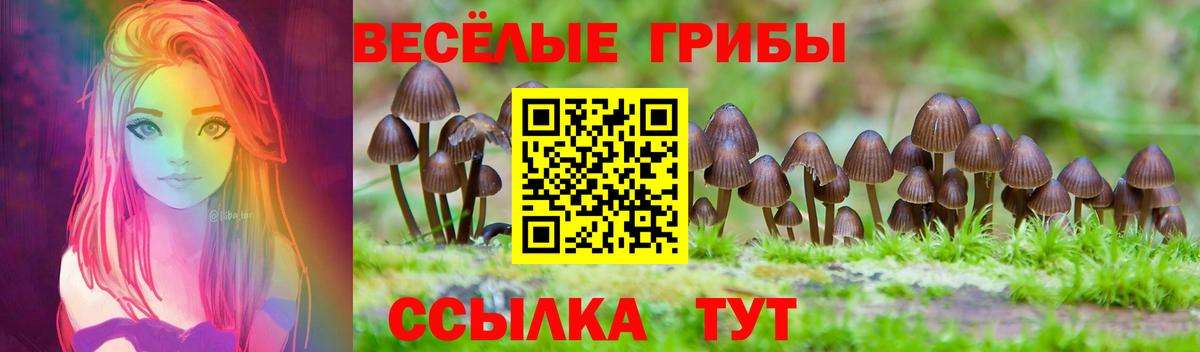 Галлюциногенные грибы мухоморы Казань